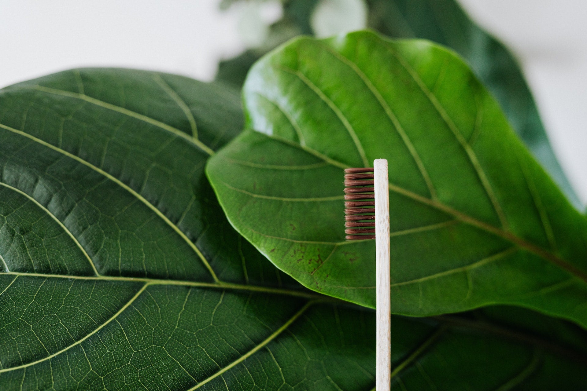 How can we as consumers encourage sustainability through our oral regime?