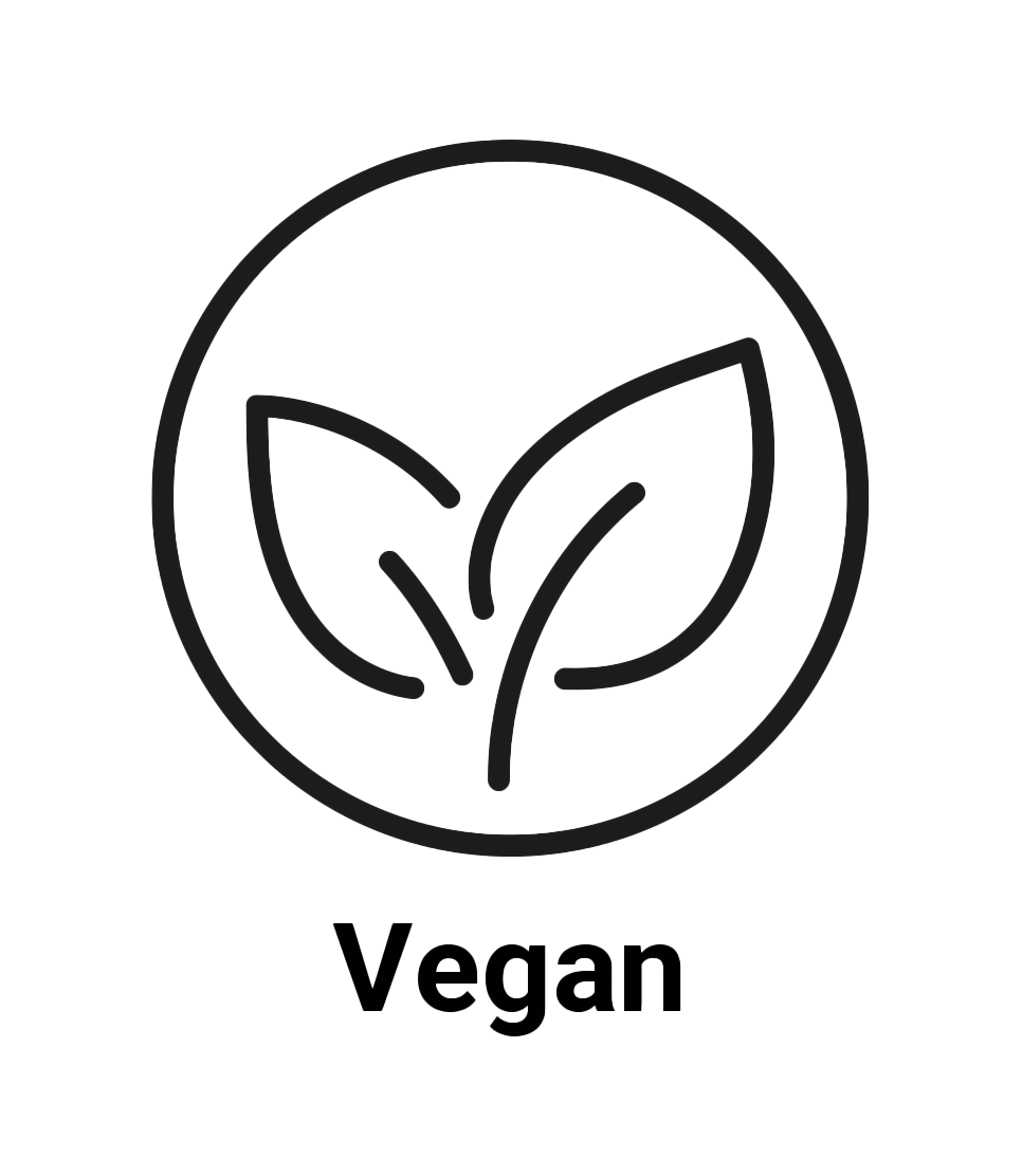 Salt Oral Care Vegan Dental Products
